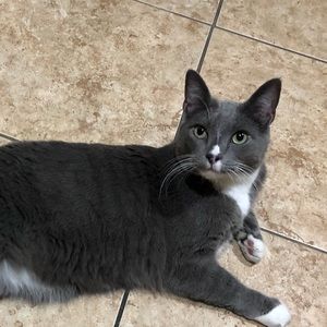 Meet your Posher, Genevieve